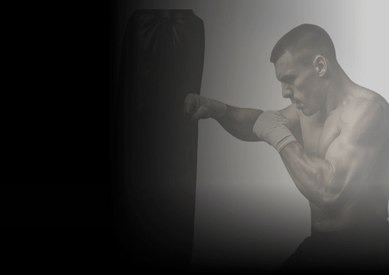 Boxer